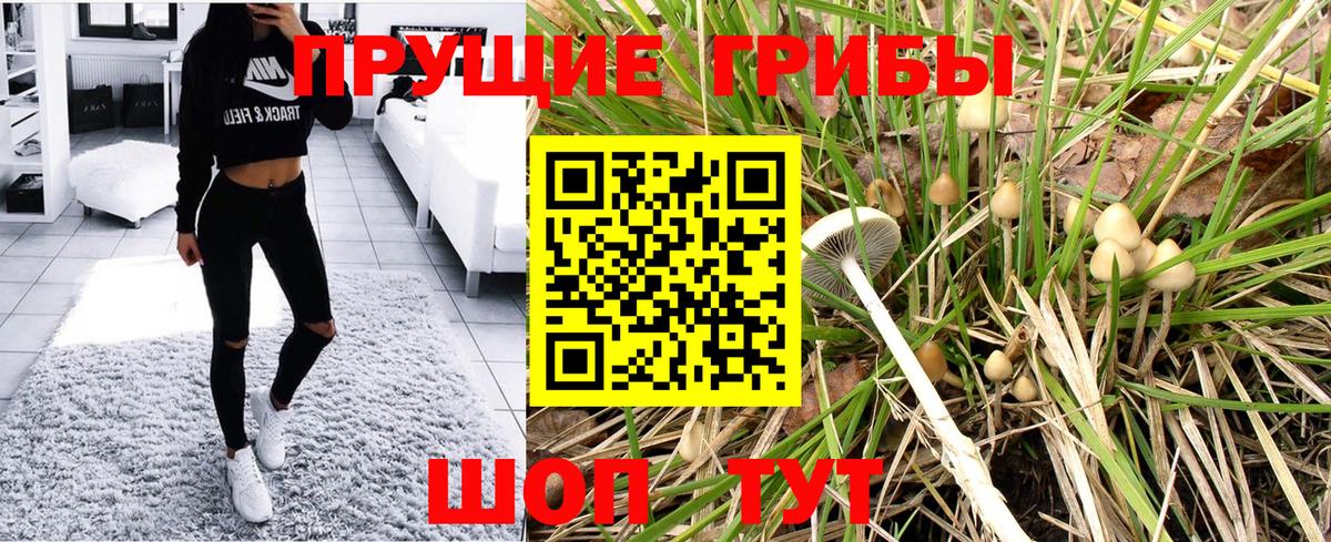 Заринск  Галлюциногенные грибы Magic Shrooms  Вход с VPN 